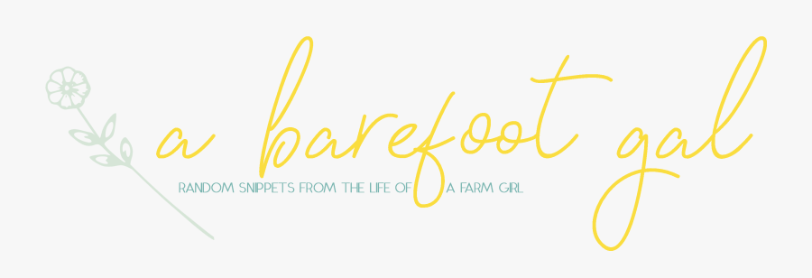 Clip Art A Gal Random Snippets - Calligraphy, Transparent Clipart