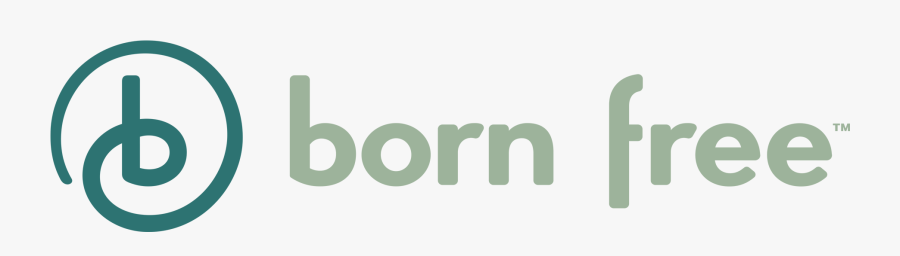 Summer Infant - Circle, Transparent Clipart