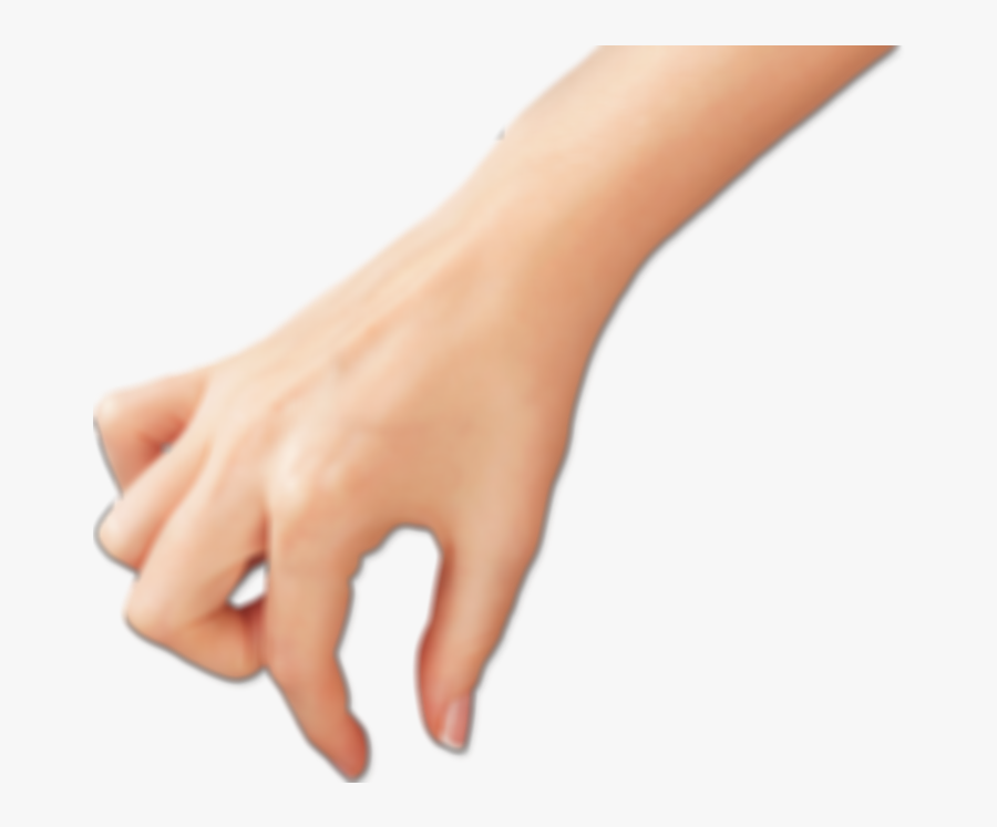 Vein, Transparent Clipart