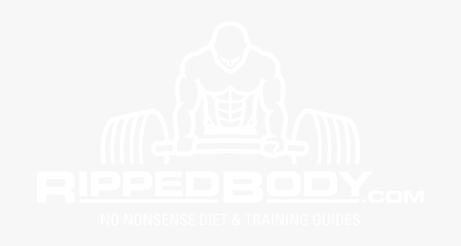 Weightlifter Drawing Bodybuilder Arm - Bodybuilding, Transparent Clipart