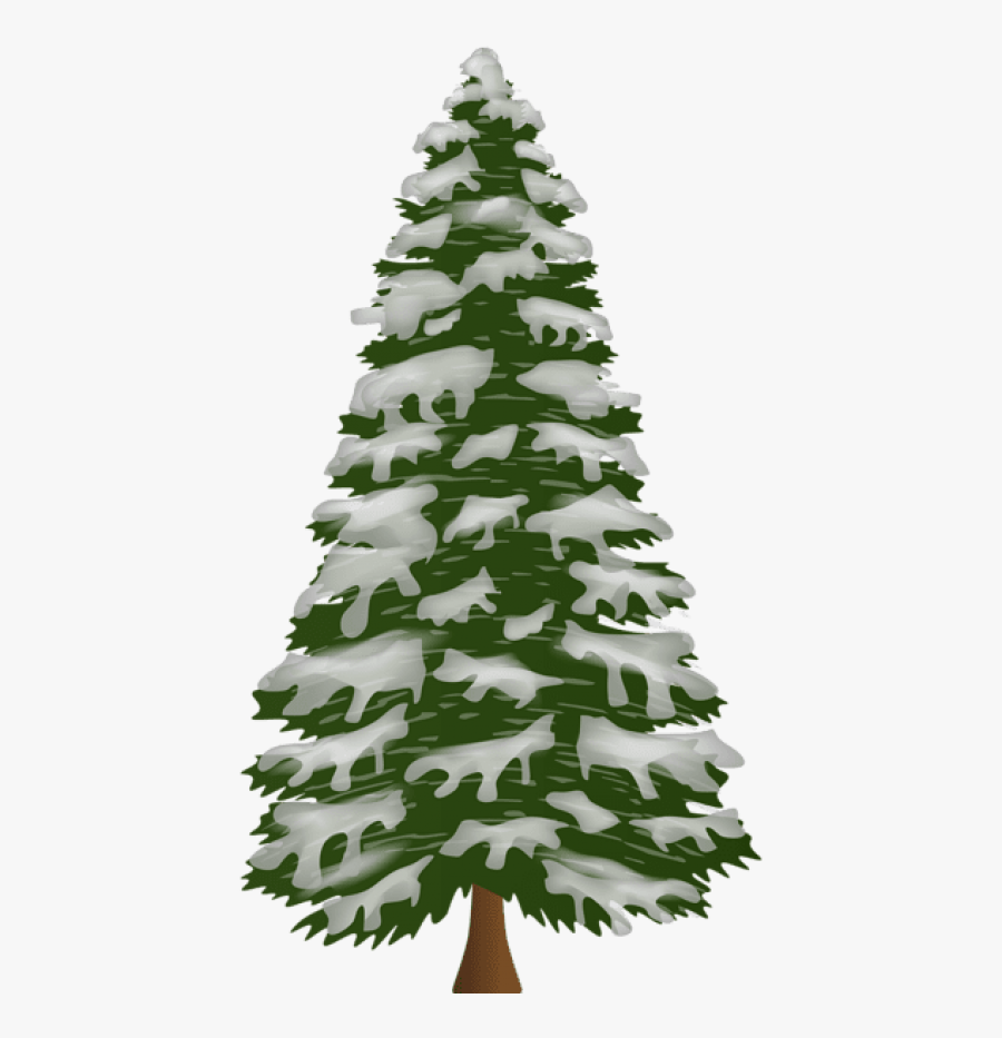 Pine Tree Png - Christmas Tree, Transparent Clipart