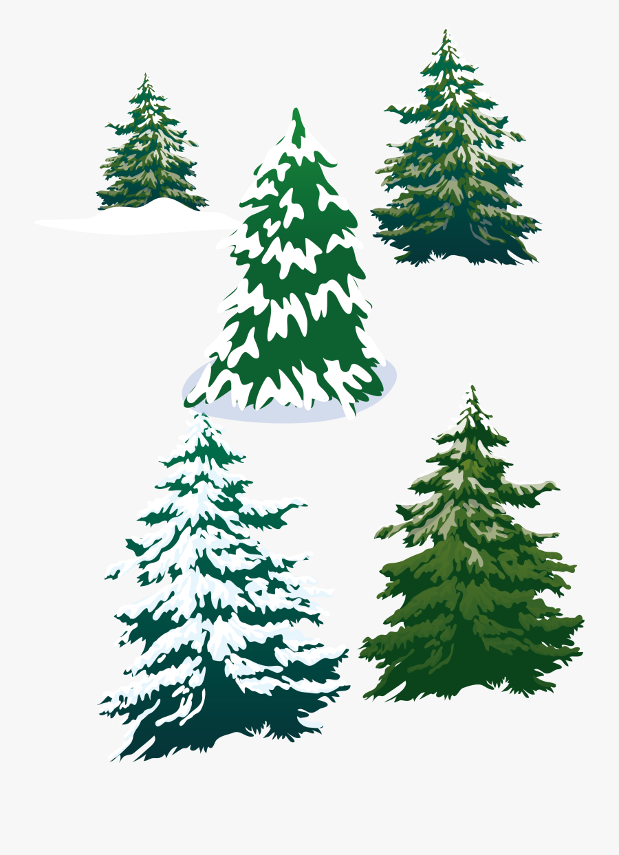 Vector Snowy Pine Trees Png Download - Snowy Pine Trees Clipart, Transparent Clipart