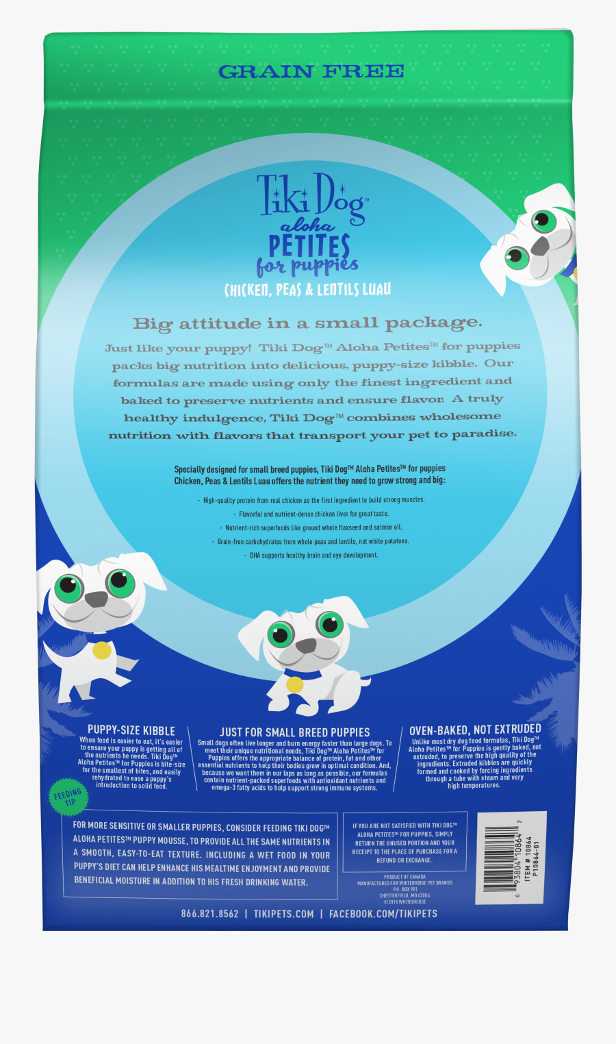 African Grey, Transparent Clipart