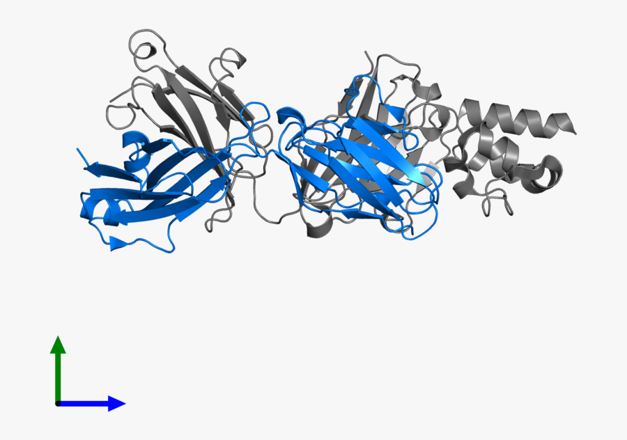 Tandem Bicycle, Transparent Clipart