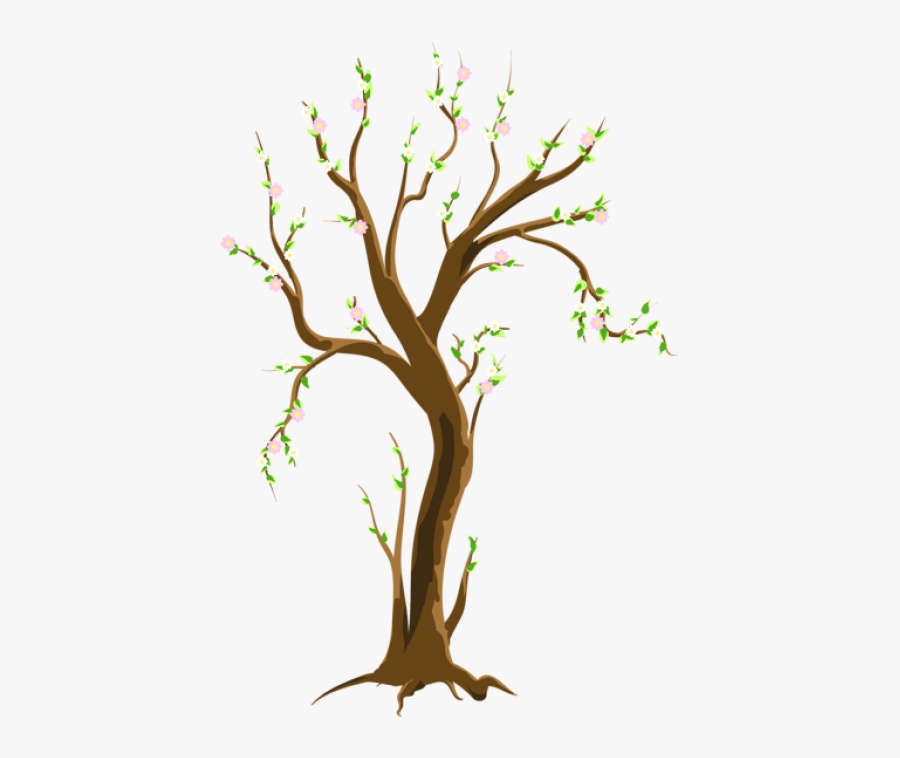 Free Png Download Spring Treepicture Png Images Background - Tree In Spring Clipart, Transparent Clipart