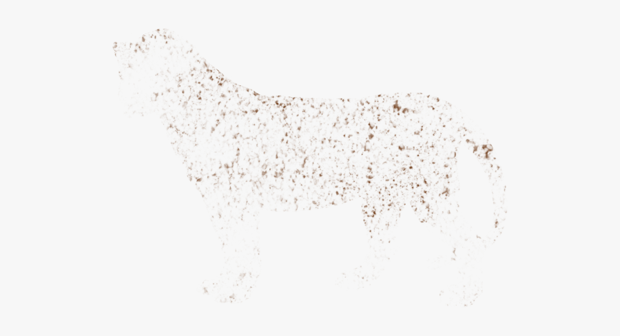 Download Freckles Png File For Designing Projects - Bird, Transparent Clipart