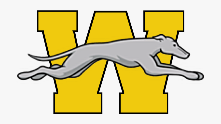 Content 1555513540-yellow W Withgreyhound Huge, Transparent Clipart