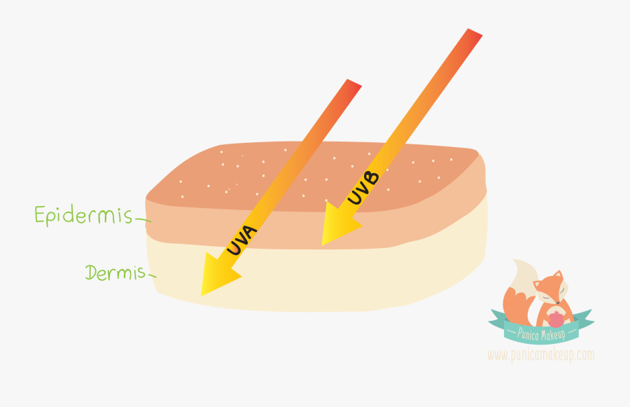 Fast Food, Transparent Clipart