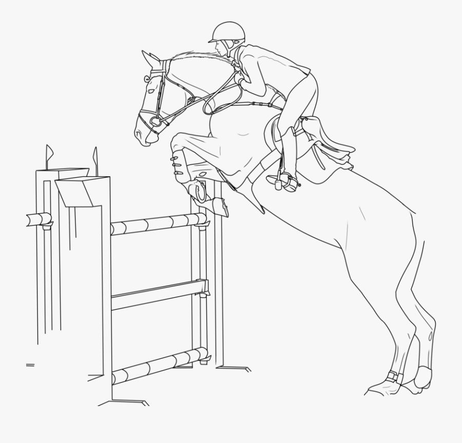 Download Collection Of Hunter - Horse Show Jumping Sketch, Transparent Clipart