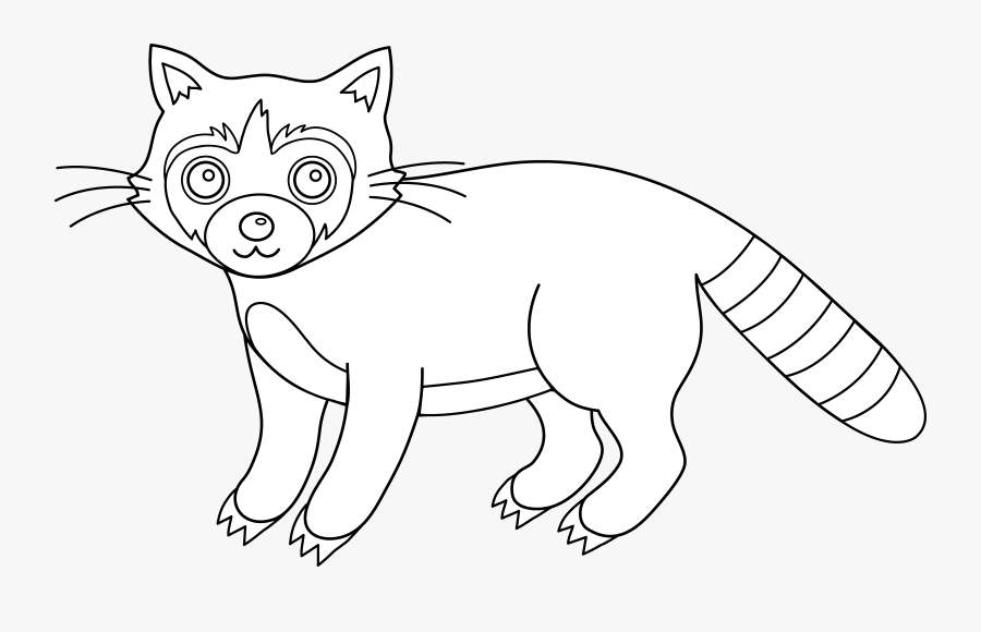 Raccoon Image Free - Clip Art, Transparent Clipart
