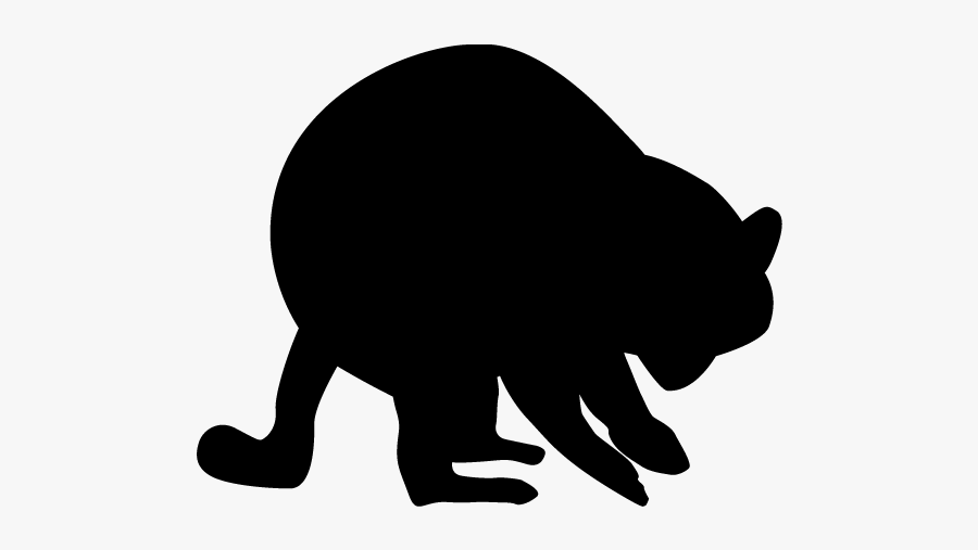 Cat, Transparent Clipart