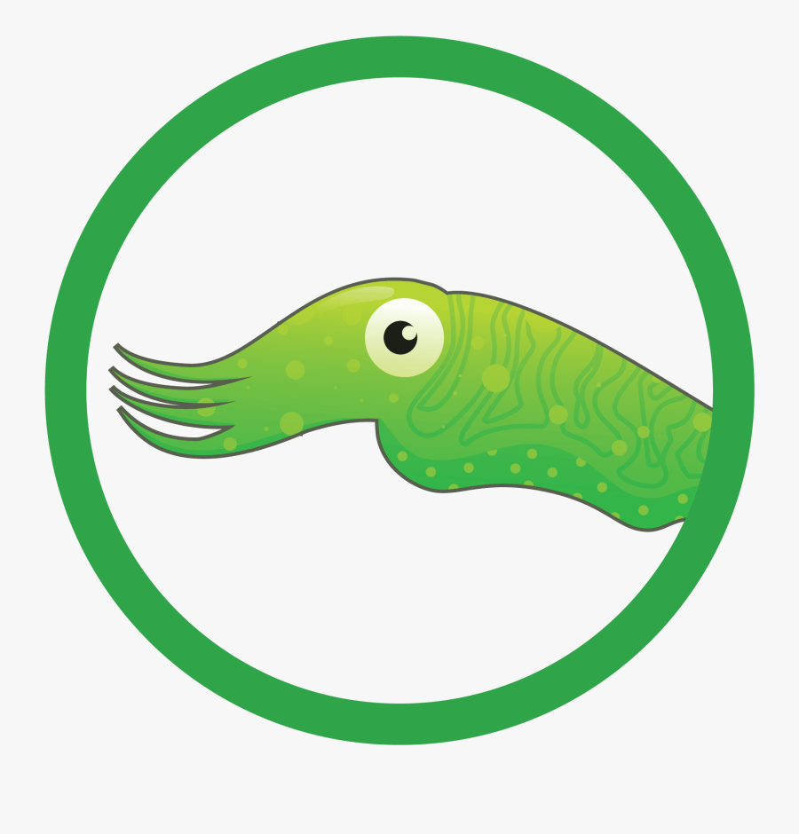 Swim Lesson Description - Doves Of Peace, Transparent Clipart