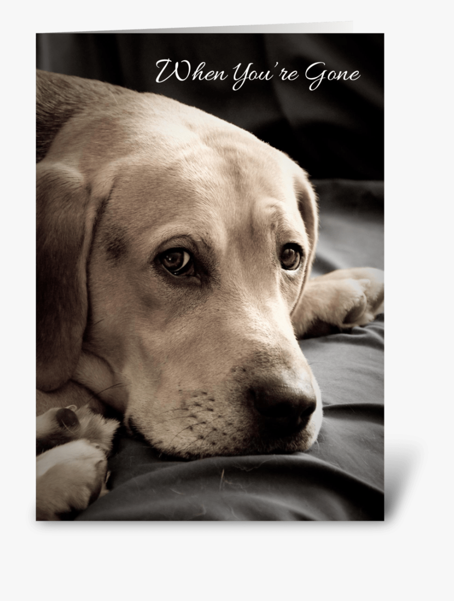 Clip Art Sad Dog Pictures - Missing You Dog, Transparent Clipart