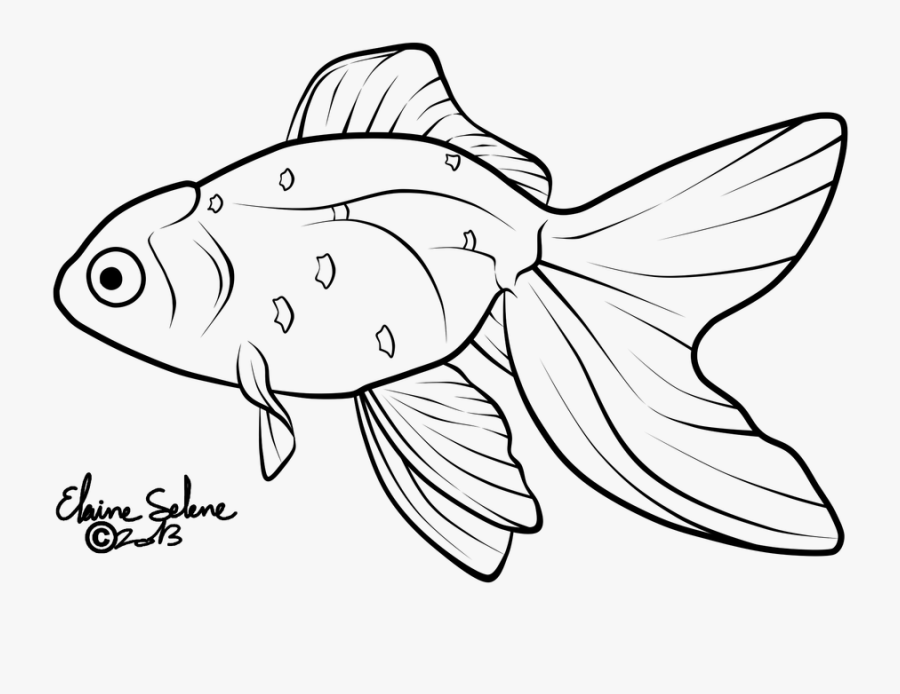 Goldfish Lineart Black And White - Gold Fish Line Art, Transparent Clipart