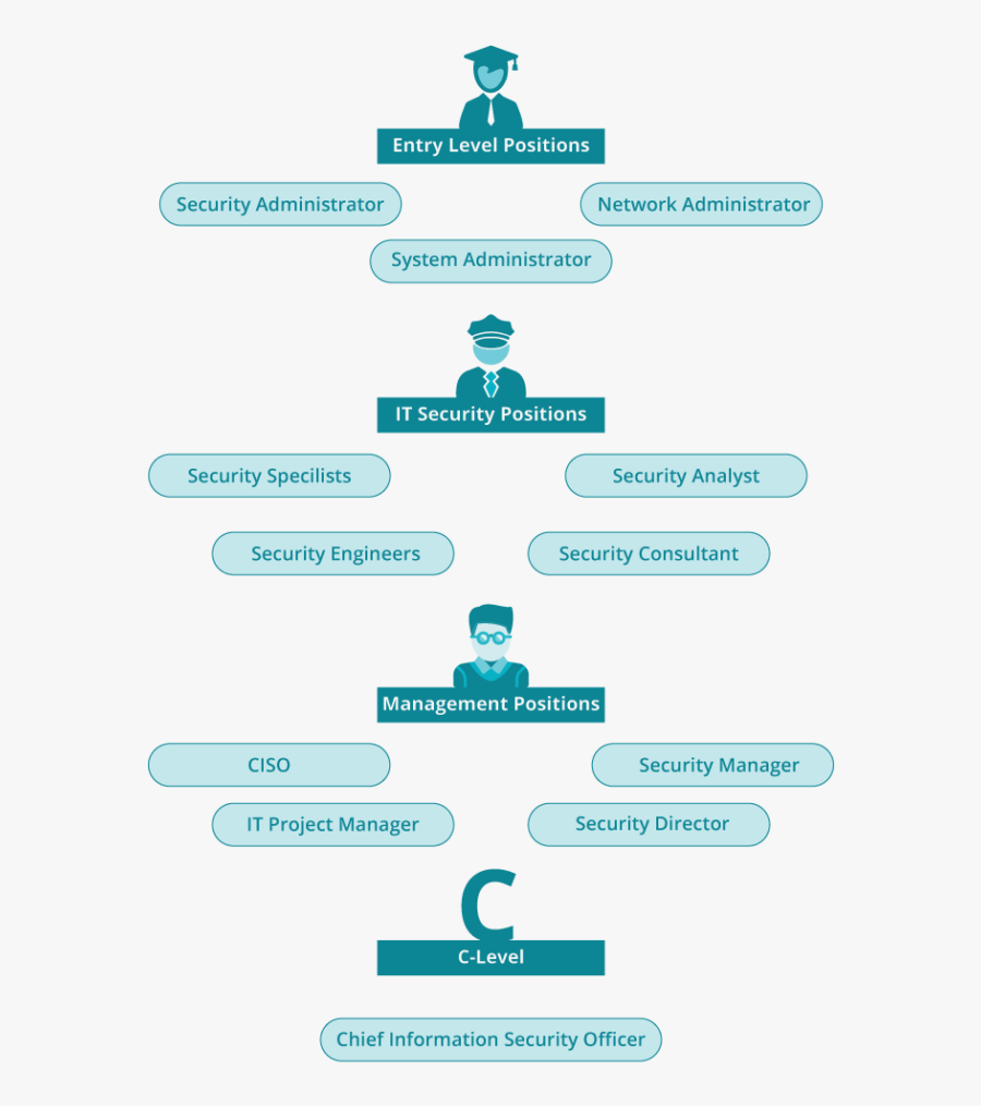 Career-path - Security Architecture Career, Transparent Clipart