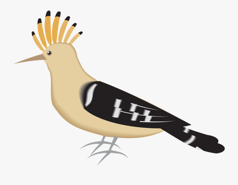 Bird, Hoopoe, Wings, Feathers, Species, Upupa, Epops - كليب ارت هدهد, Transparent Clipart