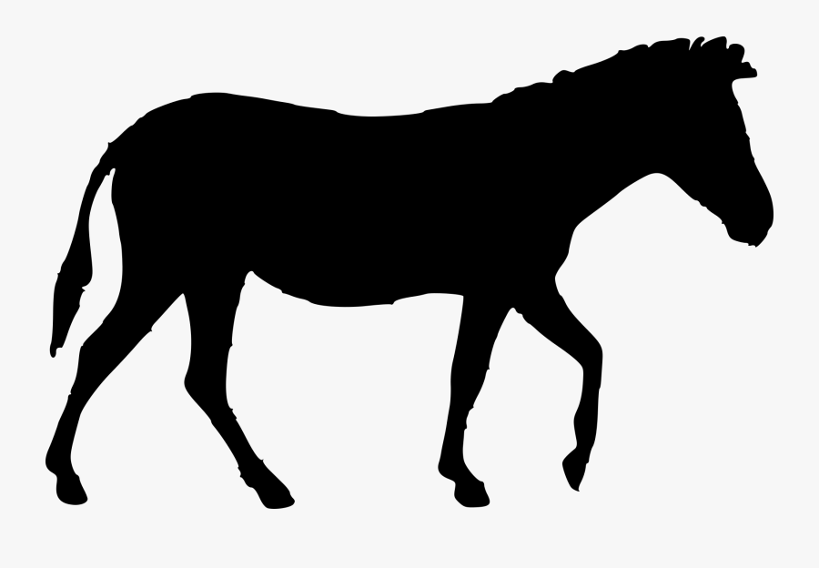 Dark Outline Of A Horse - Standing Silhouette Horse, Transparent Clipart