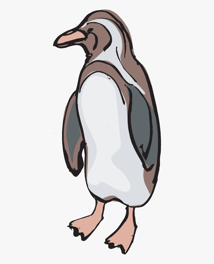 Penguin - Endangered Bird Drawing, Transparent Clipart