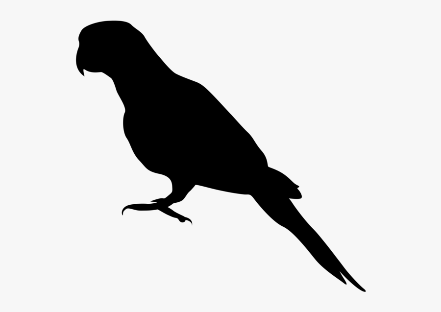 405 Species Of Birds - Silhouettes Of Endangered Species, Transparent Clipart