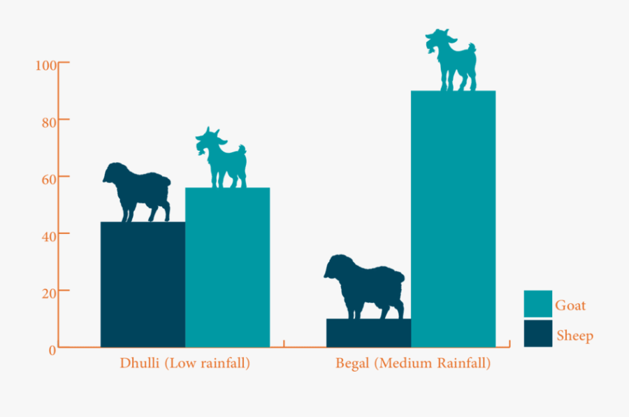 Small Ruminant Composition By Species - Silhouette , Free Transparent ...