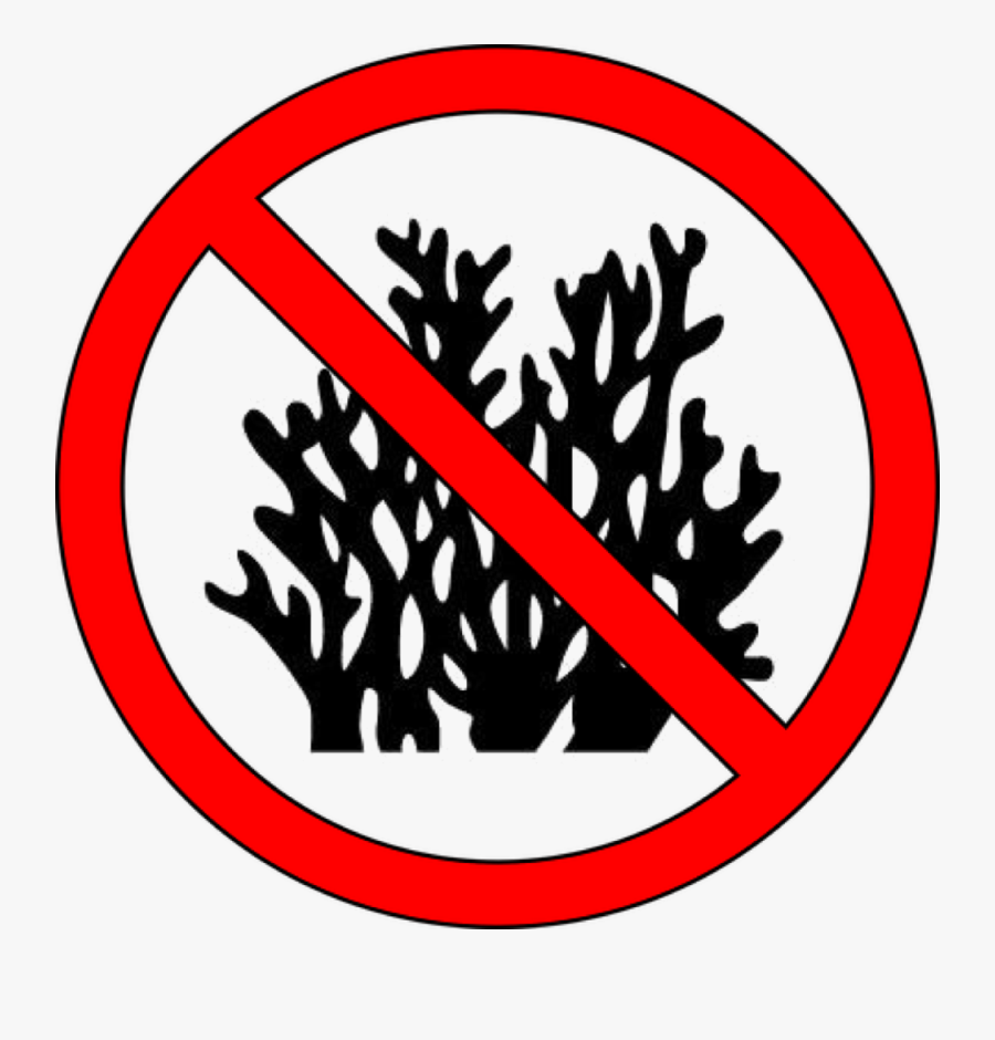 Emblem, Transparent Clipart