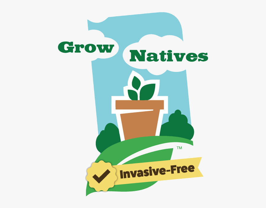 Stop Plants Eco Logic - Native Plants Clip Art, Transparent Clipart