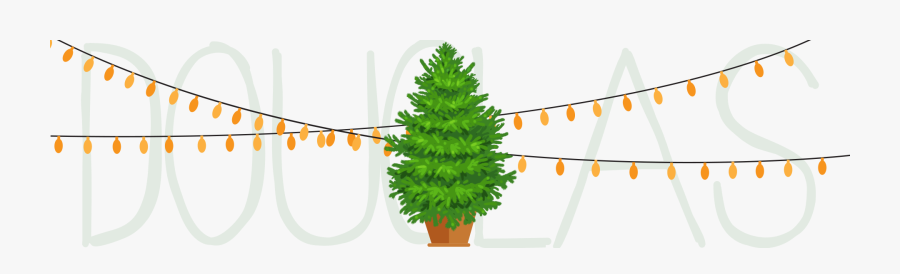Transparent Douglas Fir Clipart, Transparent Clipart