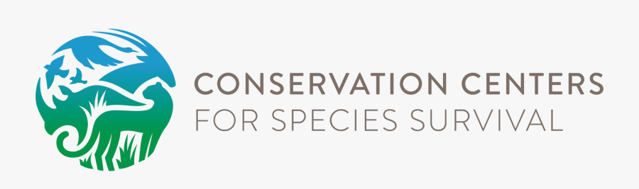 Chicago Youth Centers Logo, Transparent Clipart