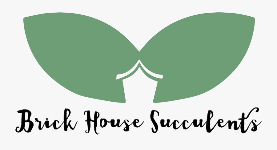 Species A D Brick - Illustration, Transparent Clipart