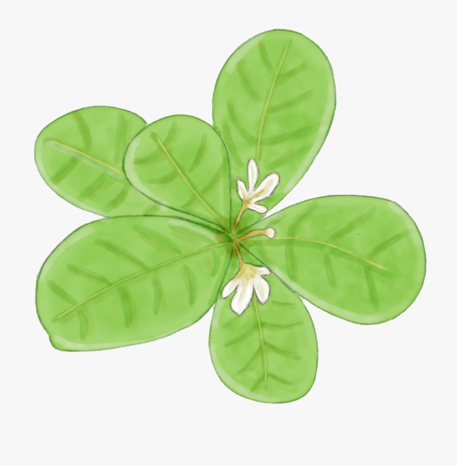 Transparent Sea Oats Clipart - Tree, Transparent Clipart