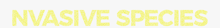 Title Invasive Species - Twitter 101, Transparent Clipart