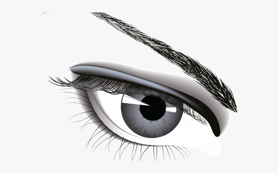Transparent Eyebrows Clipart - Pencil Eye Donation Drawing, Transparent Clipart