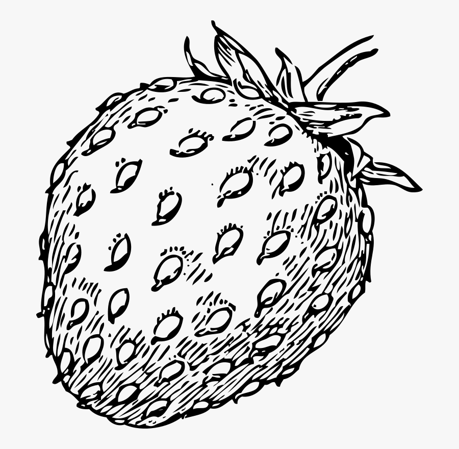 Strawberry 1 - Strawberry Clip Art, Transparent Clipart
