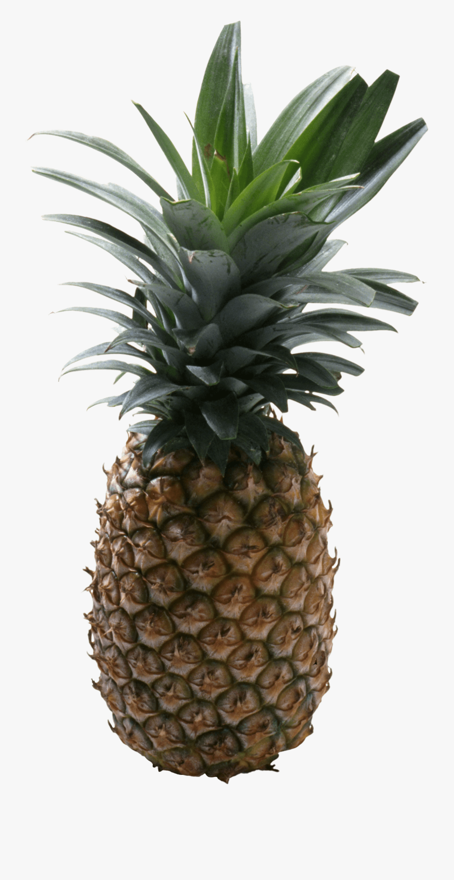 Pineapple Png No Background - Pineapple With No Background, Transparent Clipart