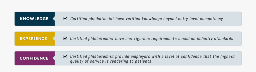 Screenshot, Transparent Clipart