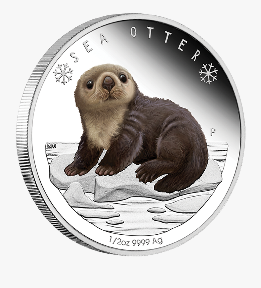 Sea Otters Clipart, Transparent Clipart