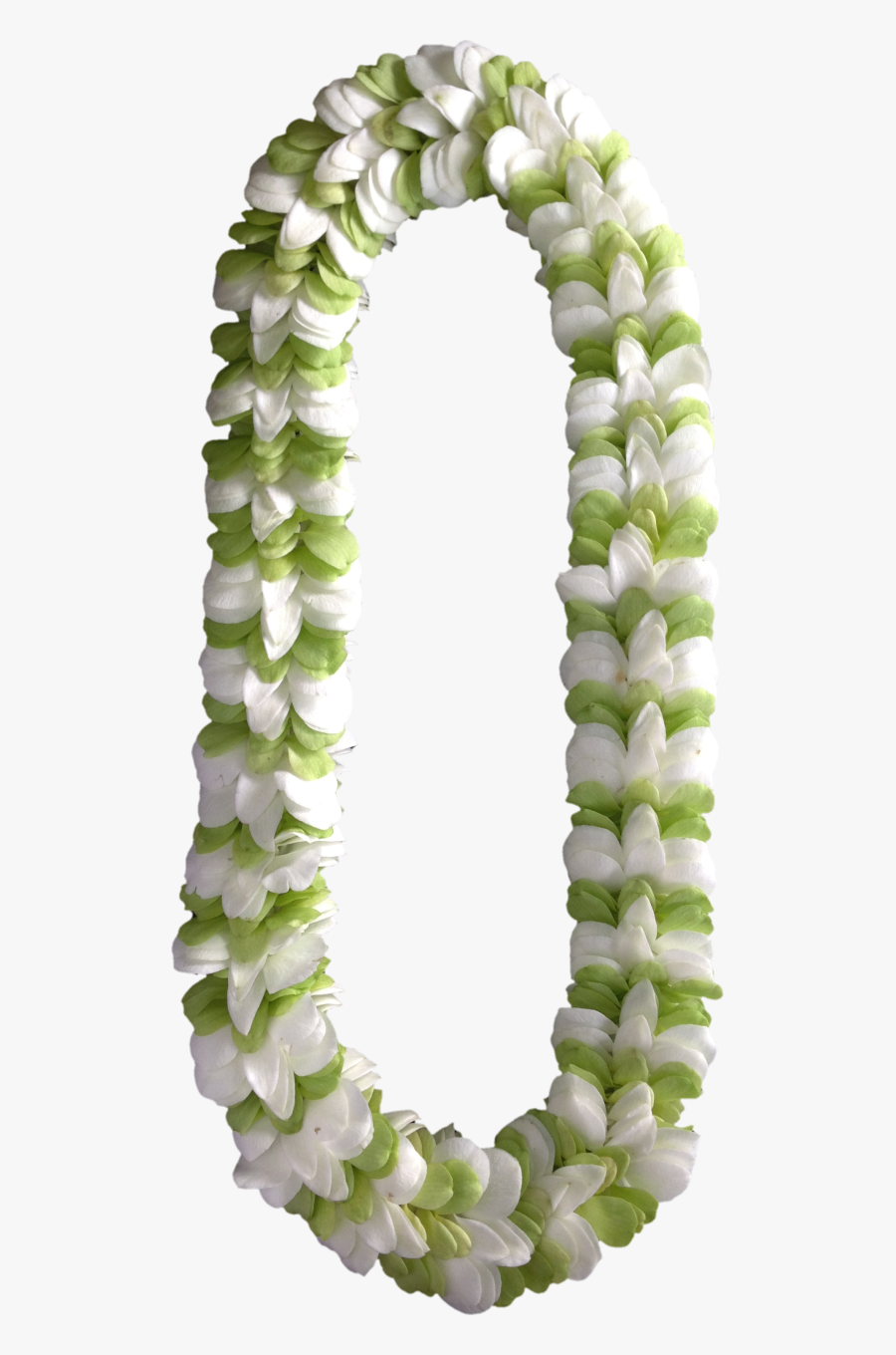 Orchid Clipart Single - Lily Of The Valley, Transparent Clipart