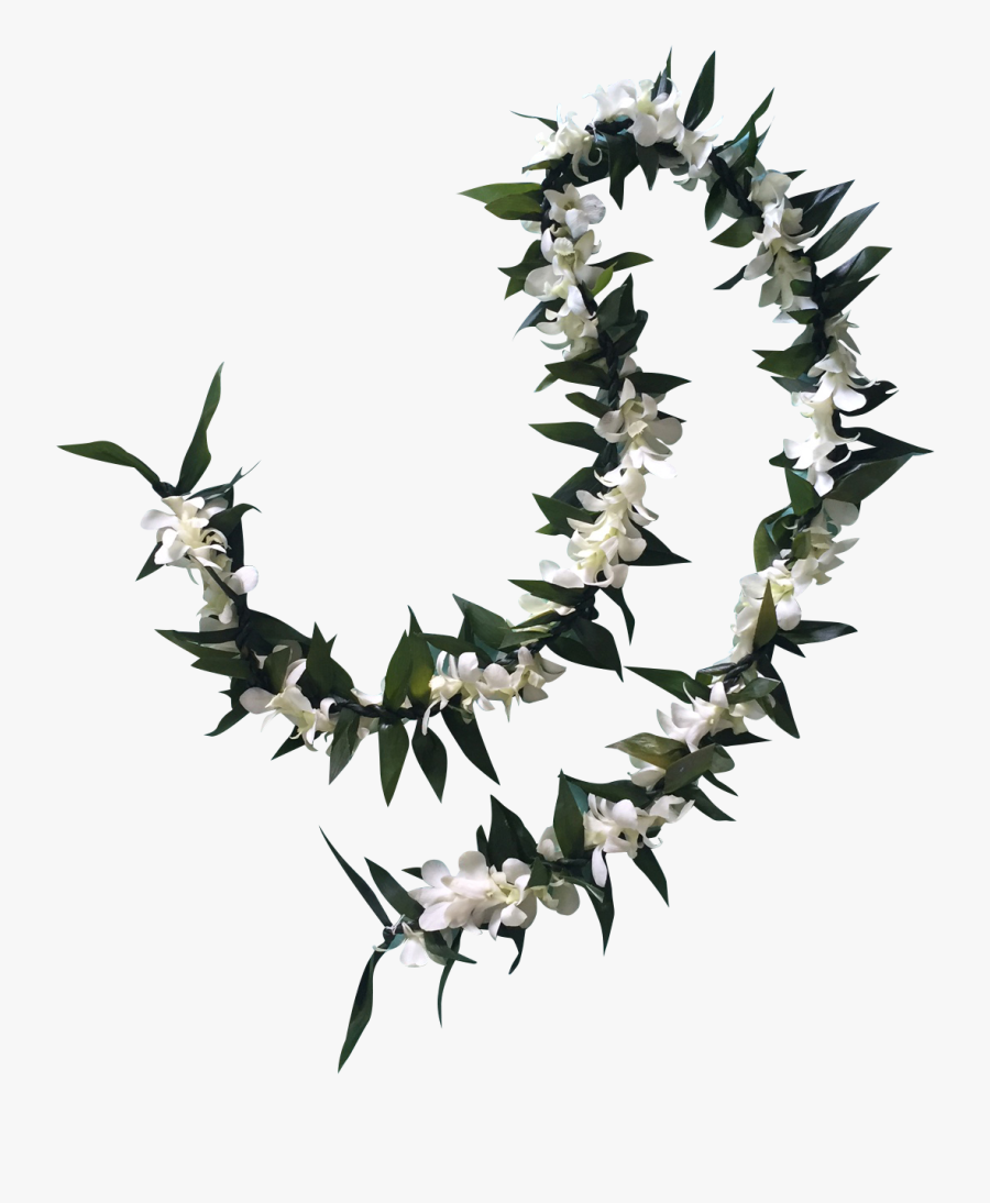 Transparent Leis Clipart - Heliconia, Transparent Clipart