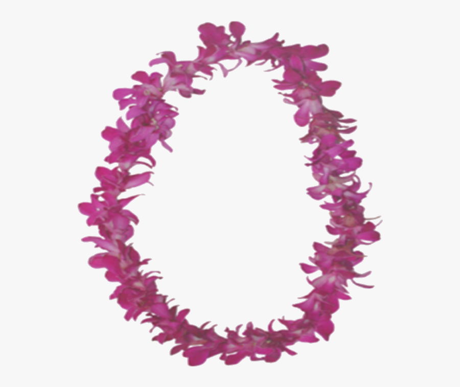 Necklace Clipart Hawaiian Necklace - Hawaii Lei Png, Transparent Clipart