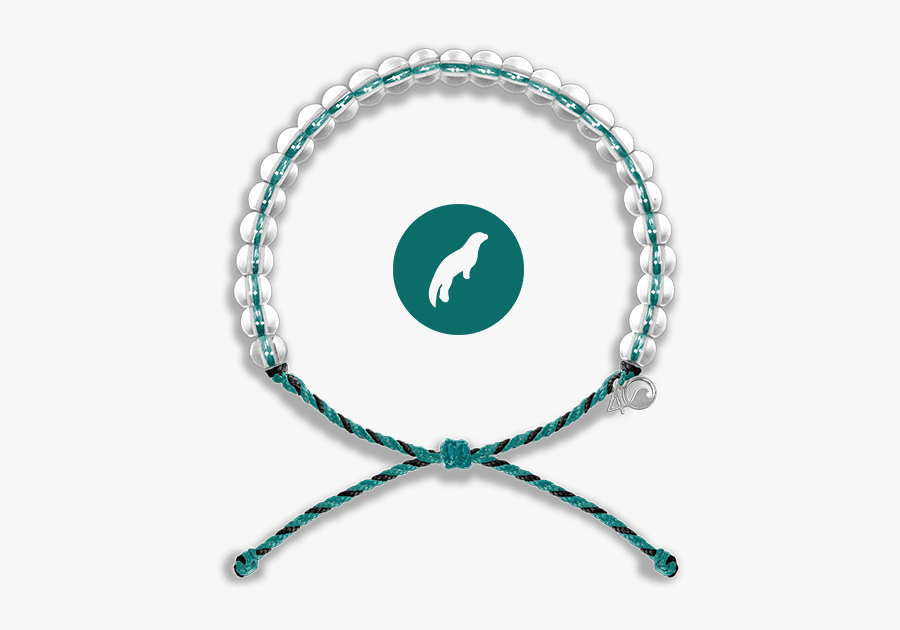 4ocean Hawaiian Monk Seal, Transparent Clipart