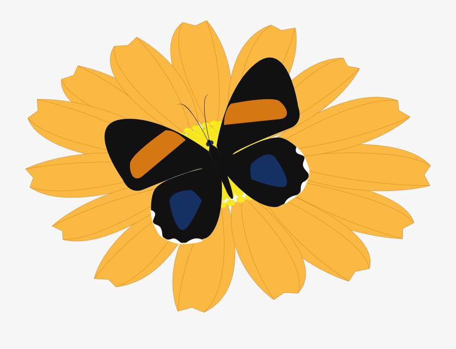 Butterfly, Transparent Clipart