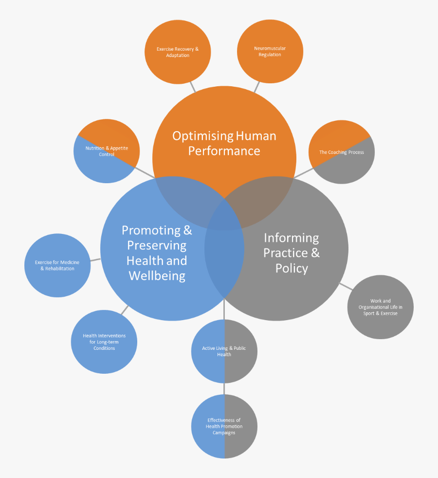 The Department Of Sport, Exercise And Rehabilitation - Circle, Transparent Clipart