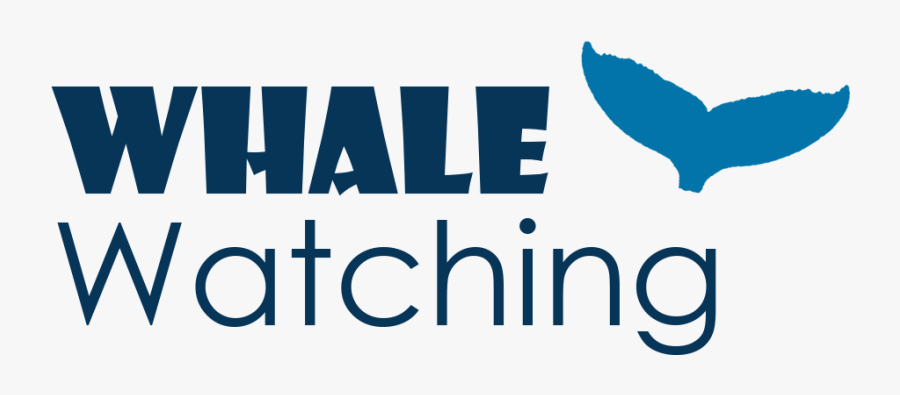 Note Cards Clipart (986x420), Png Download - Channel Intelligence, Transparent Clipart