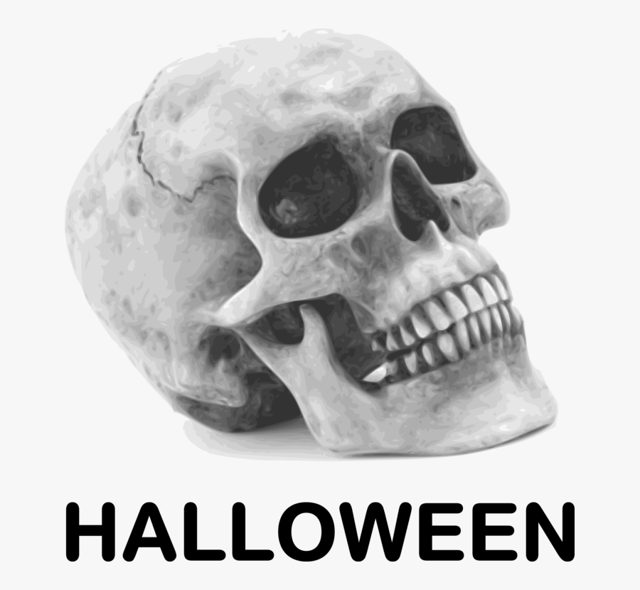 Head,skeleton,skull - Cranio Png, Transparent Clipart