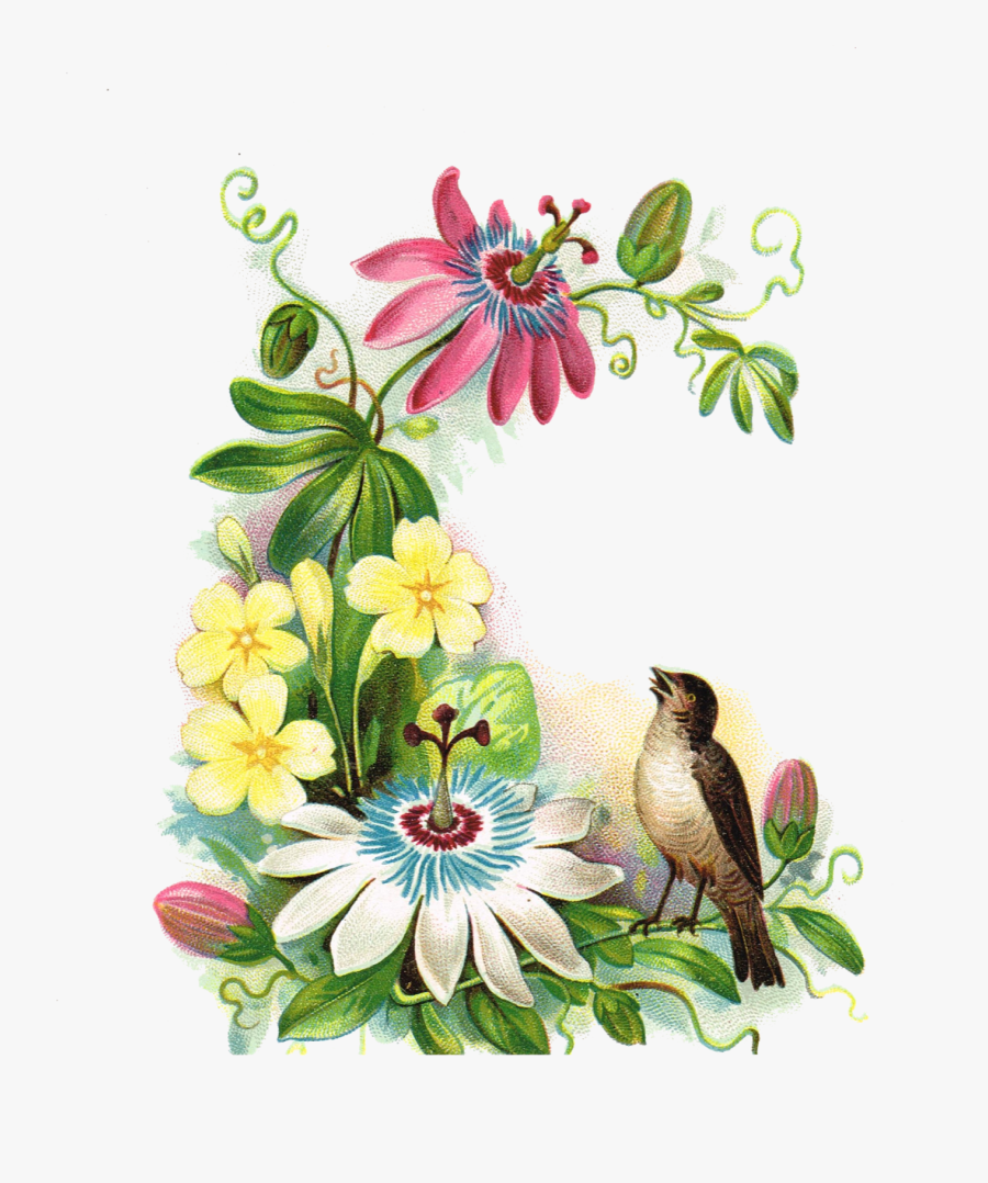 Antique Spring Cliparts - Floral Ephemera, Transparent Clipart