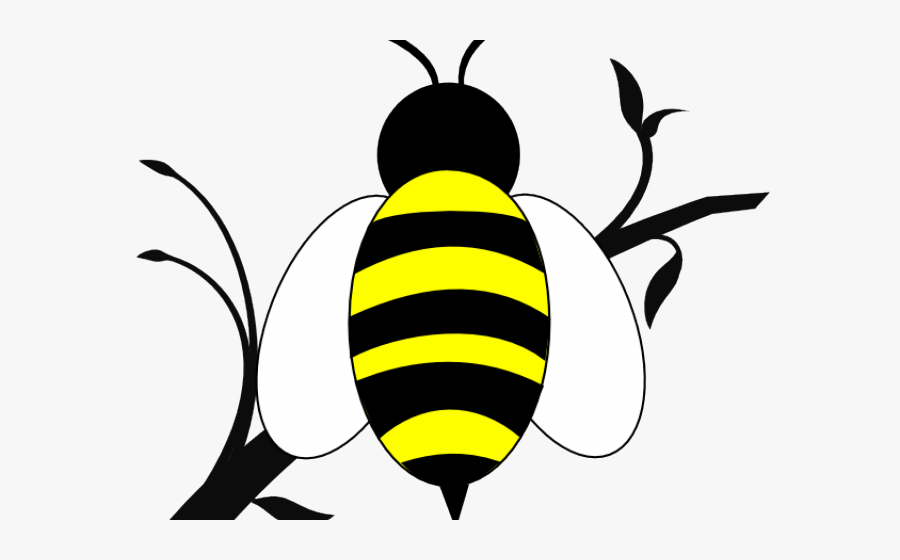 Honey Bee Clipart - Simplebee Cartoon, Transparent Clipart