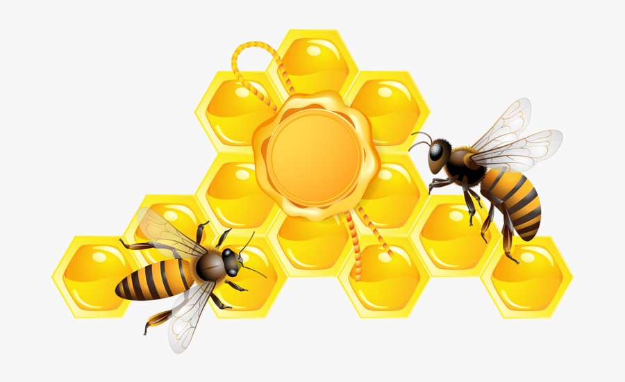 Transparent Working Bee Clipart - Honey Png, Transparent Clipart