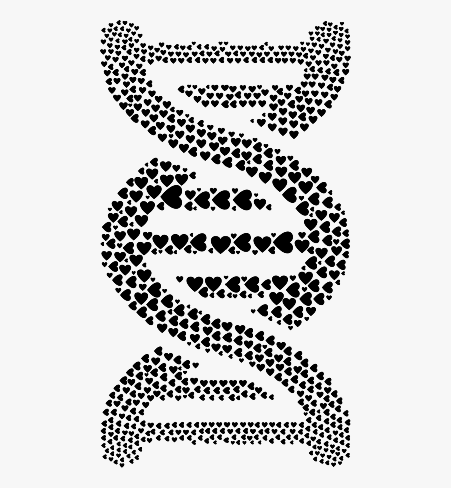 Paparazzi Accessories Join My Team, Transparent Clipart