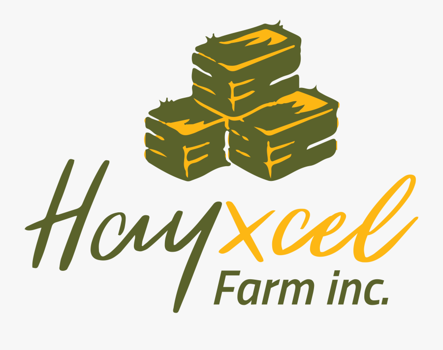 Graphic Design, Transparent Clipart