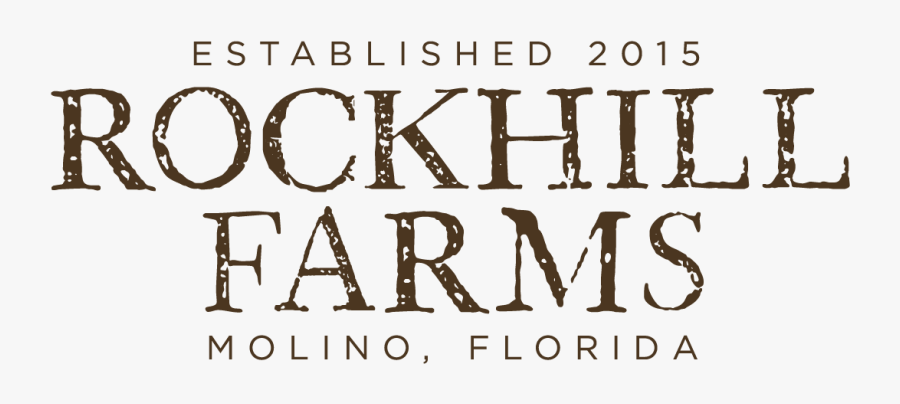 Calligraphy, Transparent Clipart